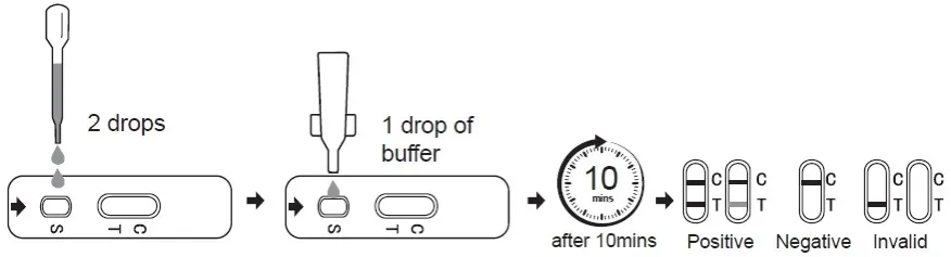 Dengue-Fever-Antigen-Test Dengue-Fever-Antigen-Test